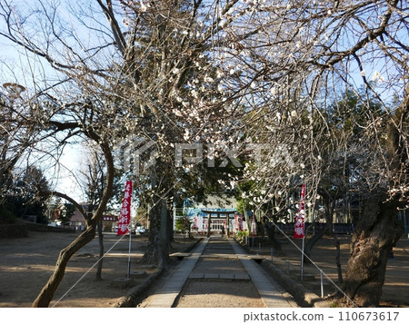 天神窄道(埼玉縣川越市) 天神窄道(埼玉縣川越市) 110673617