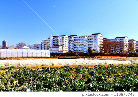 從東久留米市南澤看雲雀丘公園山/雲雀丘團地地區的景觀（東京都東久留米市）[2024.] 110673742