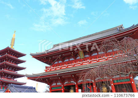 東京台東區淺草寺風景 東京台東區淺草寺風景 110673766