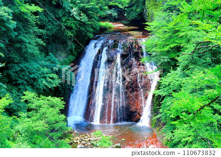 Otaki Falls in Yokoya Valley in July - Nature of Shinshu Otaki Falls in Yokoya Valley in July - Nature of Shinshu 110673832