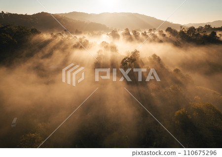 Aerial view of forest and mountain in fog with golden sunbeams at sunrise Aerial view of forest and mountain in fog with golden sunbeams at sunrise 110675296