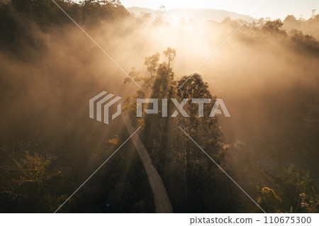 Aerial view of forest and mountain in fog with golden sunbeams at sunrise Aerial view of forest and mountain in fog with golden sunbeams at sunrise 110675300