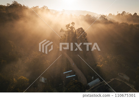 Aerial view of forest and mountain in fog with golden sunbeams at sunrise Aerial view of forest and mountain in fog with golden sunbeams at sunrise 110675301