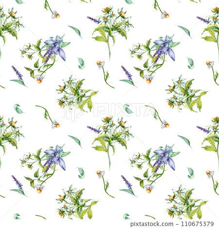 Sage herbal plant, bur-marigold watercolor seamless pattern isolated on white background. Salvia, nettle, chamomile, daisy useful flowers hand drawn. Design for label, package, home textile, wrapping Sage herbal plant, bur-marigold watercolor seamless pattern isolated on white background. Salvia, nettle, chamomile, daisy useful flowers hand drawn. Design for label, package, home textile, wrapping 110675379