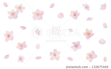Hand-drawn watercolor illustration parts of cherry blossoms, branches and leaves 110675484