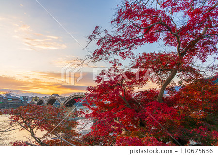 山口縣岩國市,在紅葉中熠熠生輝的錦帶橋 山口縣岩國市,在紅葉中熠熠生輝的錦帶橋 110675636