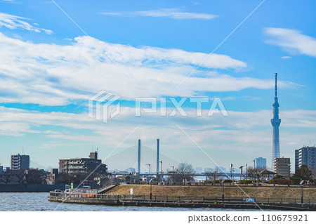 Skytree seen from the Nakagawa River flowing through Katsushika Okudo, Tokyo 110675921