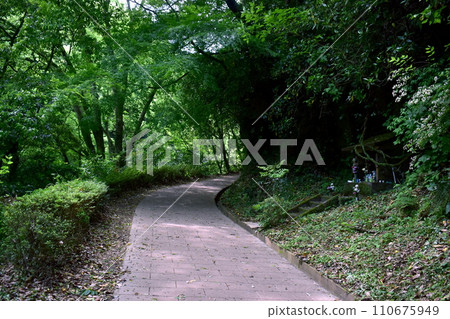 Miyazaki Takachiho Tianangawara Miyazaki Takachiho Tianangawara 110675949