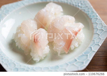 Red sea bream nigiri mini size Red sea bream nigiri mini size 110676266