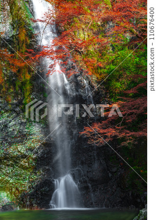 Minoh Falls surrounded by autumn leaves, Minoh City, Osaka Prefecture Minoh Falls surrounded by autumn leaves, Minoh City, Osaka Prefecture 110676400