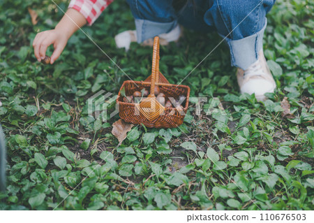 5 year old child collecting acorns 5 year old child collecting acorns 110676503