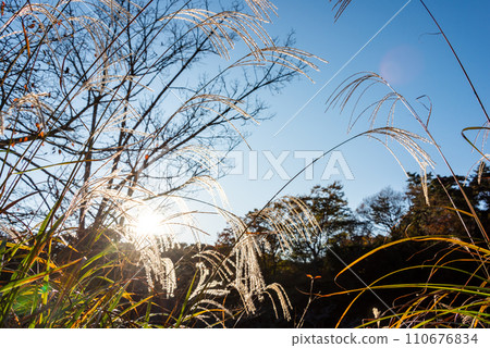 [兵庫縣] 神戶森林植物園 110676834