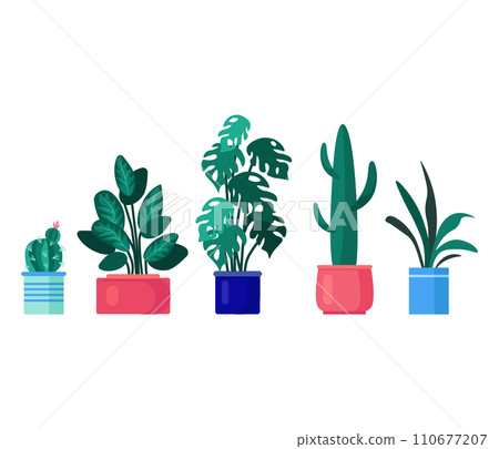 Five potted houseplants in colorful pots, flat style indoor plants. Modern home decor, plant collection vector illustration. 110677207