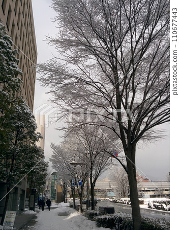 白雪覆蓋的辦公區的早晨 110677443