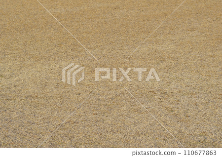 一大片冬季草坪（冬季死草坪） 110677863