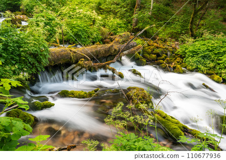 Small river's shot in a summer time, taken with long exposure Small river's shot in a summer time, taken with long exposure 110677936