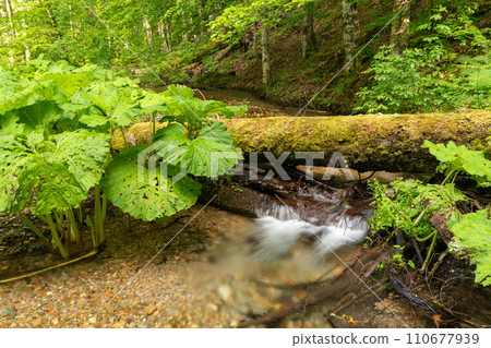 Small river's shot in a summer time, taken with long exposure 110677939