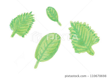 用透明水彩畫的黃綠色葉子的插圖集 用透明水彩畫的黃綠色葉子的插圖集 110678698