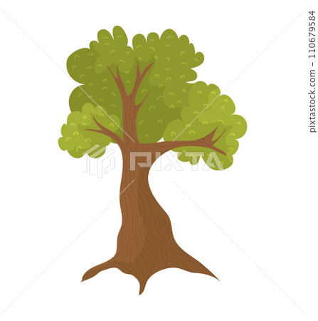 Cartoon tree with green leaves and brown trunk isolated on white. Simple drawing of a leafy deciduous tree, nature graphic. 110679584