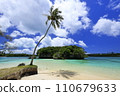 Ile des Pins in New Caledonia 110679633