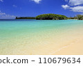 Ile des Pins in New Caledonia 110679634