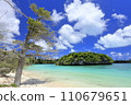 Ile des Pins in New Caledonia 110679651