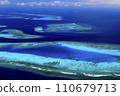 coral reefs of new caledonia 110679713