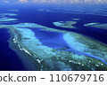 coral reefs of new caledonia 110679716