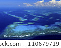 coral reefs of new caledonia 110679719