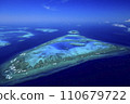 coral reefs of new caledonia 110679722