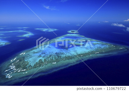 coral reefs of new caledonia 110679722