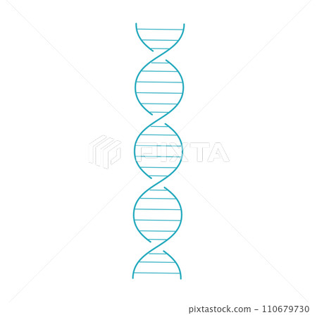 Simplified blue DNA double helix structure on white background. Biological or genetic theme vector illustration. 110679730