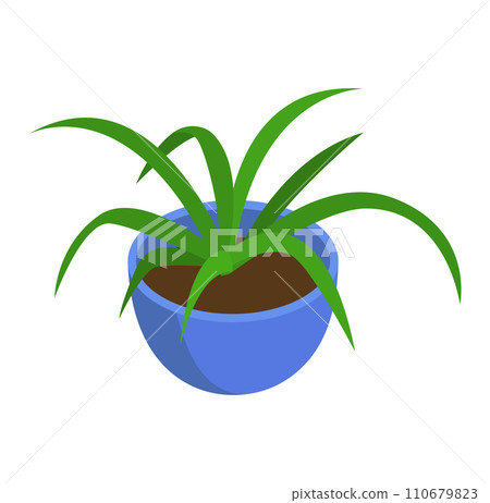 Green spider plant in a blue pot, indoor houseplant on white background. Fresh home decoration and interior design, vector illustration. 110679823