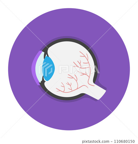 Flat design of human eye anatomy with details of retina and iris. Educational medical diagram. Biology and vision health care concept vector illustration. 110680150