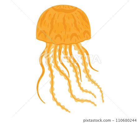 Orange jellyfish with long tentacles floating. Sea life cartoon and ocean theme vector illustration. 110680244
