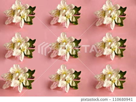 Collage of a photograph of a flower on a pink background. Collage of a photograph of a flower on a pink background. 110680941
