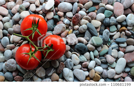Tomato Branch With Ripe Tomatoes On Decoration Stones. Concept for vegetables wallpapers or backgrounds Tomato Branch With Ripe Tomatoes On Decoration Stones. Concept for vegetables wallpapers or backgrounds 110681199