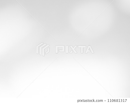 Shadow Effect Background Mockup Black Frame Reslistic Shade Gray Leaf Overlay Leaves Tree Tropic summer Plant Light White Floor Abstract Sunlight Backdrop Minimal Mockup 3d Bg Wall Nature Sun Scene. 110681317