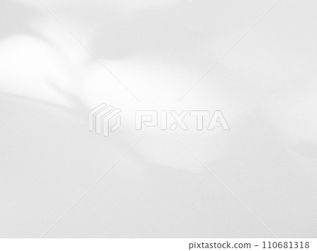 Shadow Effect Background Mockup Black Frame Reslistic Shade Gray Leaf Overlay Leaves Tree Tropic summer Plant Light White Floor Abstract Sunlight Backdrop Minimal Mockup 3d Bg Wall Nature Sun Scene. Shadow Effect Background Mockup Black Frame Reslistic Shade Gray Leaf Overlay Leaves Tree Tropic summer Plant Light White Floor Abstract Sunlight Backdrop Minimal Mockup 3d Bg Wall Nature Sun Scene. 110681318