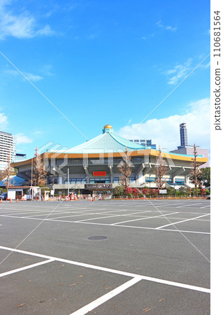 東京都千代田區日本武道館風景 110681564