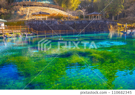 在霧島山泉水泉泉腳下 在霧島山泉水泉泉腳下 110682345