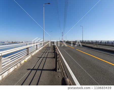 從大阪港平林大橋看到的風景 從大阪港平林大橋看到的風景 110683439