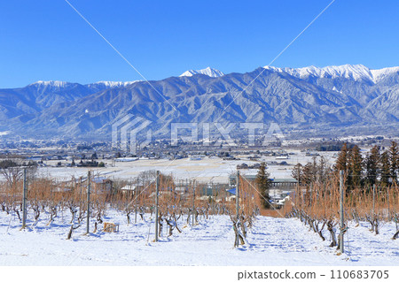 Azumino in winter Snow vineyards for wine and the Northern Alps 110683705