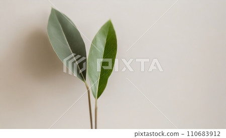 Simple leaf background AI generated image 110683912