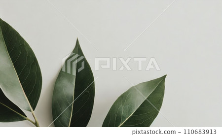 Simple leaf background AI generated image 110683913