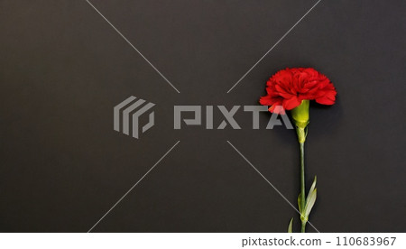 Red carnation background AI generated image Red carnation background AI generated image 110683967
