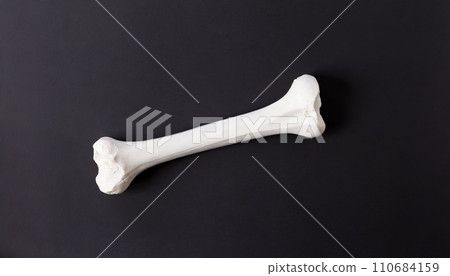 Bone and simple background AI generated image Bone and simple background AI generated image 110684159
