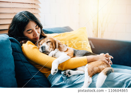 A heartwarming scene unfolds in the living room as a young Asian woman embraces her Beagle dog while they nap together on the sofa, epitomizing the concept of trust and happiness at home. 110684865