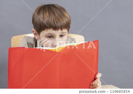 The child at the table is doing homework. A primary school student reads a textbook. The child at the table is doing homework. A primary school student reads a textbook. 110685854