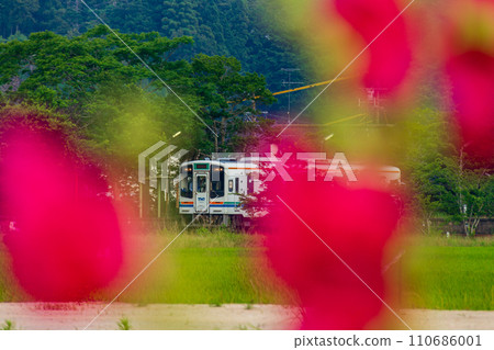 Hosoya, Kakegawa City, Shizuoka Prefecture Tenryu Hamanako Railway and scenery along the line Hosoya, Kakegawa City, Shizuoka Prefecture Tenryu Hamanako Railway and scenery along the line 110686001